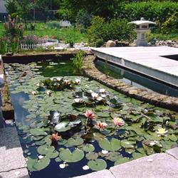 Paradisi D'acqua, Caraglio orari di apertura