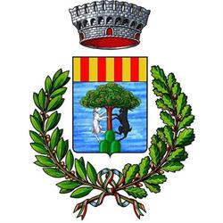 Comune Di Tonara, orari di apertura
