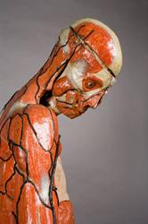 Museo Di Anatomia Umana Luigi Rolando, Torino orari di apertura