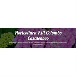 Colombo Piante e Fiori, Casatenovo orari di apertura