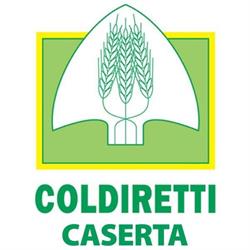 Patronato Epaca Coldiretti, Caserta orari di apertura