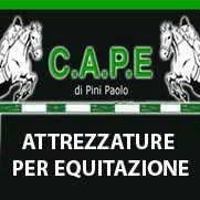 C.A.P.E. di Pini Paolo, Trecasali orari di apertura