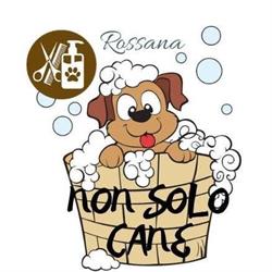 Non Solo Cane Di Malferrari Rossana, Treviglio orari di apertura