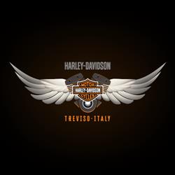 Harley-Davidson Treviso, orari di apertura