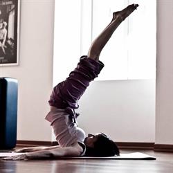 L'iris Selvatico Studio di Naturopatia e Pilates di Bormann Rebekah, Trieste orari di apertura