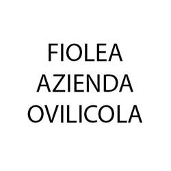 Fiolea - Azienda Olivicola e Gastronomica, Trofarello orari di apertura