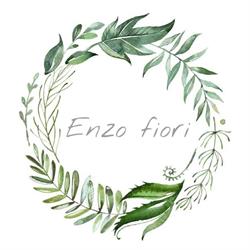 Enzo Fiori, Varese orari di apertura