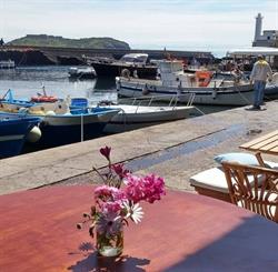 Un Mare di Sapori di Musella Giuseppina & c, Ventotene orari di apertura