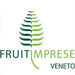 Associazione Imprese Ortofrutticole - Fruitimprese Veneto, Verona orari di apertura
