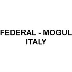 Federal - Mogul Italy, Verona orari di apertura