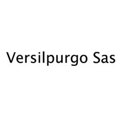 Versilspurgo Sas, Viareggio orari di apertura