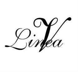 Linea V Di Dilillo Veronica Fioreria, Vicenza orari di apertura