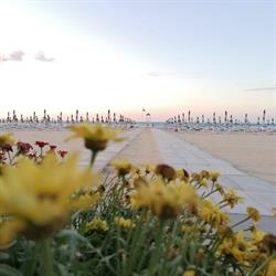Cristalda Beach di Trimigno Michelangela, Vieste orari di apertura