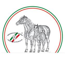 Associazione Nazionale Allevatori Del Cavallo Agricolo Italiano Da T. P. r., Vigasio orari di apertura