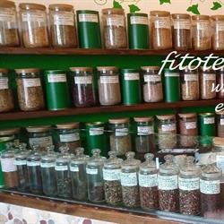 Erboristeria Panacea S.n.c Di Ferrari Ginevra Luigi e C., Vigevano orari di apertura