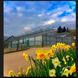 Il Villaggio dei Fiori, Viggiù orari di apertura