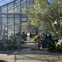 Az. Agr. Serra Fiorita di Negri Gabriele, Viguzzolo orari di apertura