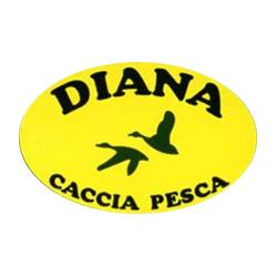 Armeria Diana Caccia e Pesca, Castelfranco Veneto orari di apertura