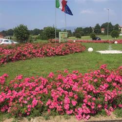 Tiozzo Fausto Azienda Agricola, Villa Guardia orari di apertura