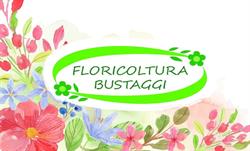 Societa' Agricola Floricoltura Bustaggi Di Bustaggi Ivano e C. S.A.S. Villafranca di Verona, Dossobuono - Orari di apertura