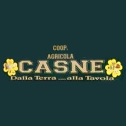 Società Agricola Cooperativa del Casne, Volpiano orari di apertura