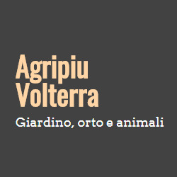 Agripiu', Volterra orari di apertura