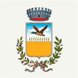 Comune Di Zapponeta, orari di apertura