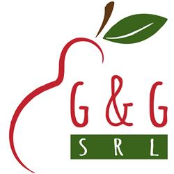 G. & G. S.r.l, Catanzaro orari di apertura