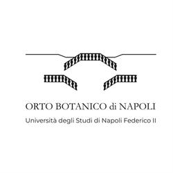 Museo di Paleobotanica ed Etnobotanica Dell'orto Botanico, Napoli orari di apertura