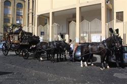Onoranze Funebri Claudia Castagna, Napoli orari di apertura
