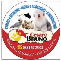 Cesare Bruno Vendita Cereali e Mangimi, Nardò orari di apertura