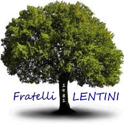 Falegnameria F.LLI LENTINI sas, Nichelino orari di apertura