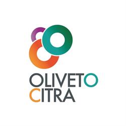 Comune Di Oliveto Citra, orari di apertura