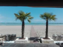 Bagno Bahama Village, Cesenatico orari di apertura