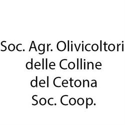 Soc. Agr. Olivicoltori delle Colline del Cetona Soc. Coop., orari di apertura