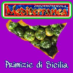 Ortofrutticola Mediterranea Di Tuccitto S. Magazzino, Pachino orari di apertura