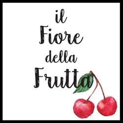 Il Fiore Della Frutta Di Nicoletto Stefania & C. S.n.c., Padova orari di apertura