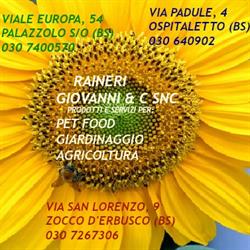 Raineri Giovanni e C. S.n.c, Palazzolo sull'Oglio orari di apertura