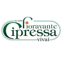 Fioravante Cipressa Vivai Di Cipressa Agr. Carmine, Copertino orari di apertura