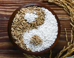 Mangiarsano da Antonella e Luciana S.n.c Gastronomia Take way Naturale Biologica, Crema orari di apertura
