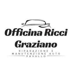 Officina Ricci Graziano - Riparazione e Manutenzione Auto Pavullo, Pavullo nel Frignano orari di apertura