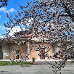Chiesa di San Marco, Faenza orari di apertura