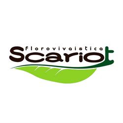 Scariot Marco Vivaio, Feltre orari di apertura