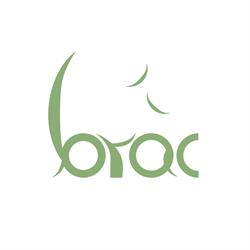 Libreria Brac, Firenze orari di apertura