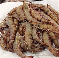 Pescheria Di Santini A. e Parmigiani C. S.n.c., Firenze orari di apertura