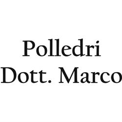 Polledri Dott. Marco, Piacenza orari di apertura