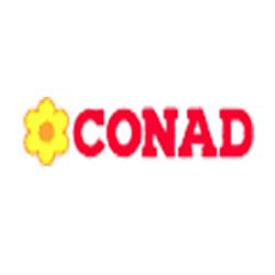 Supermercato Conad, Piancastagnaio orari di apertura