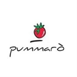 Pizzeria Pummaro', Pienza orari di apertura