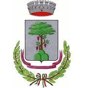 Comune Di Pino D'Asti, Pino d'Asti orari di apertura