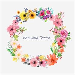 Non Solo Carne di Boschi Gabriele, Forlì orari di apertura
